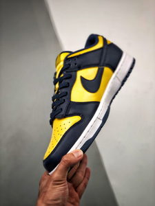 Nike SB Dunk Low Michigan